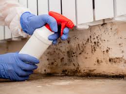 Best Biohazard Mold Removal  in USA